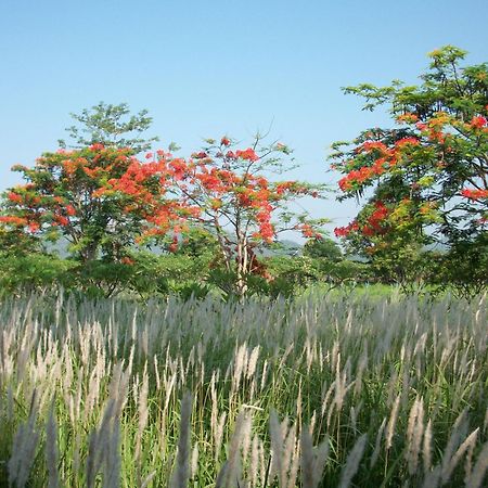 Nong Nam Daeng Lilawalai Resort מראה חיצוני תמונה