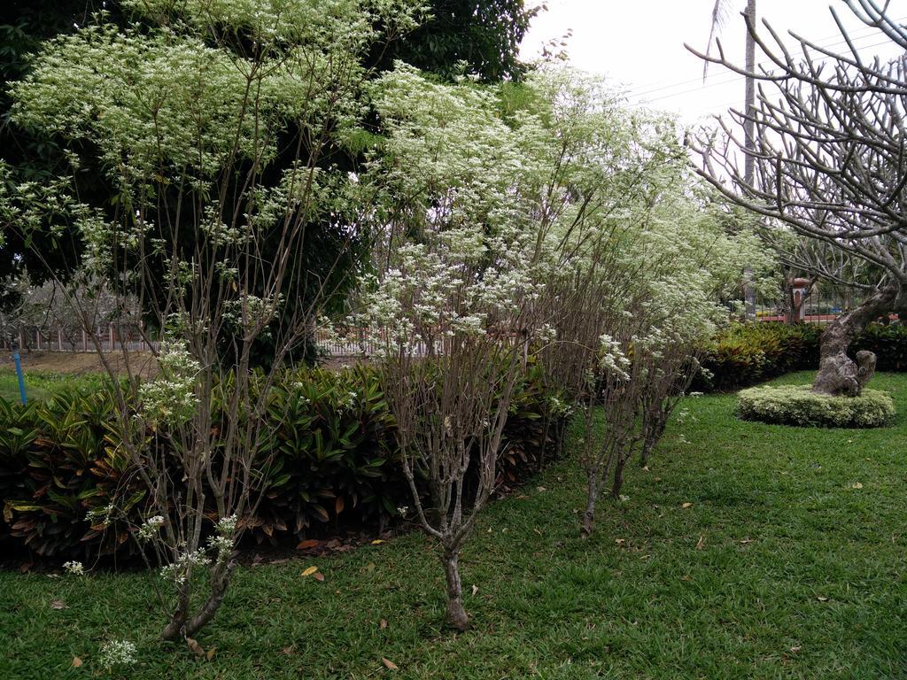 Nong Nam Daeng Lilawalai Resort מראה חיצוני תמונה
