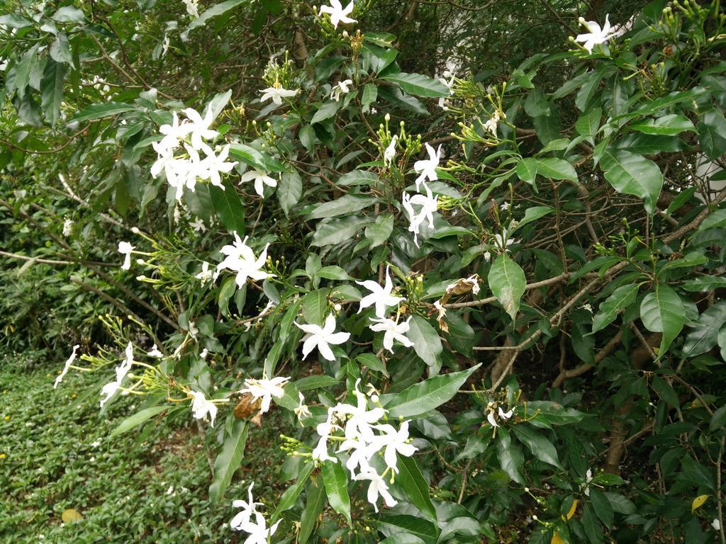 Nong Nam Daeng Lilawalai Resort מראה חיצוני תמונה