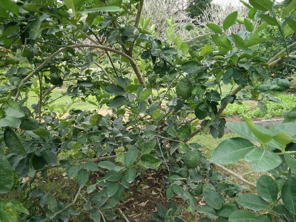 Nong Nam Daeng Lilawalai Resort מראה חיצוני תמונה