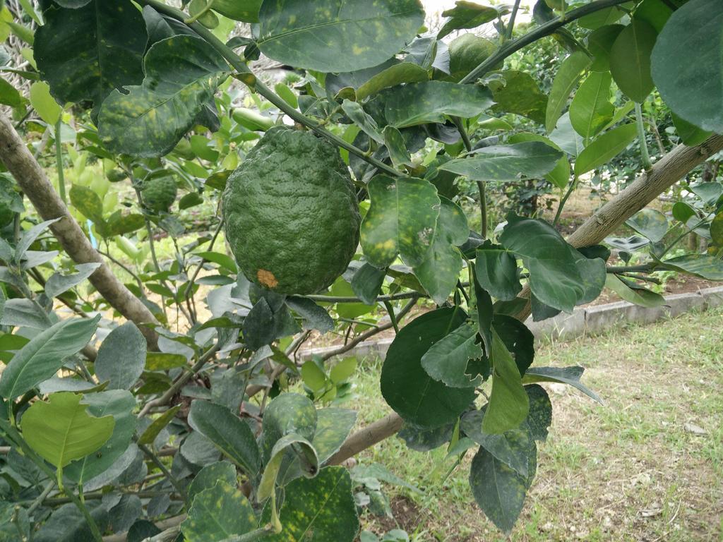 Nong Nam Daeng Lilawalai Resort מראה חיצוני תמונה