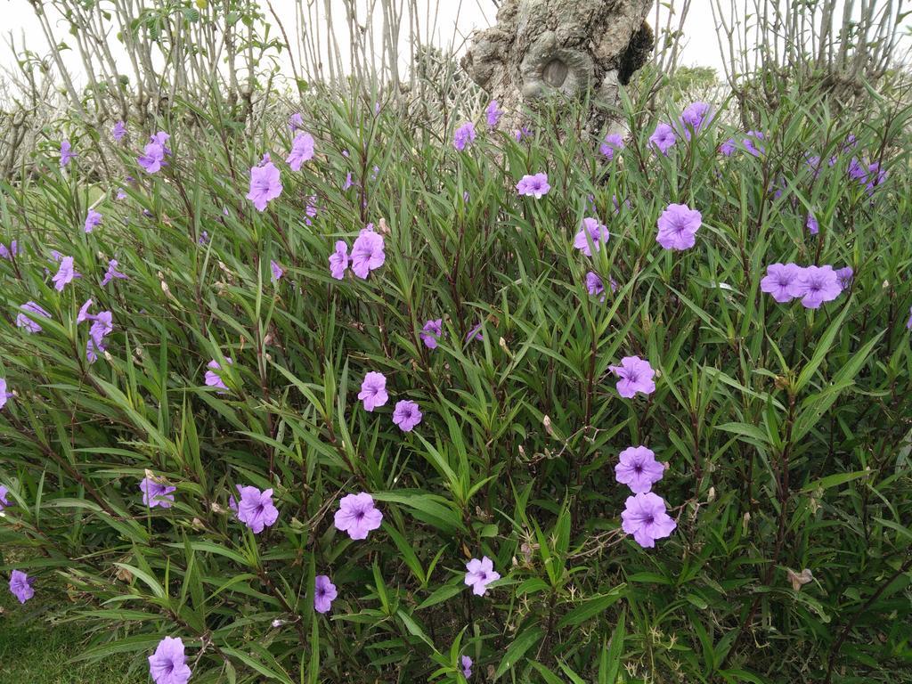Nong Nam Daeng Lilawalai Resort מראה חיצוני תמונה