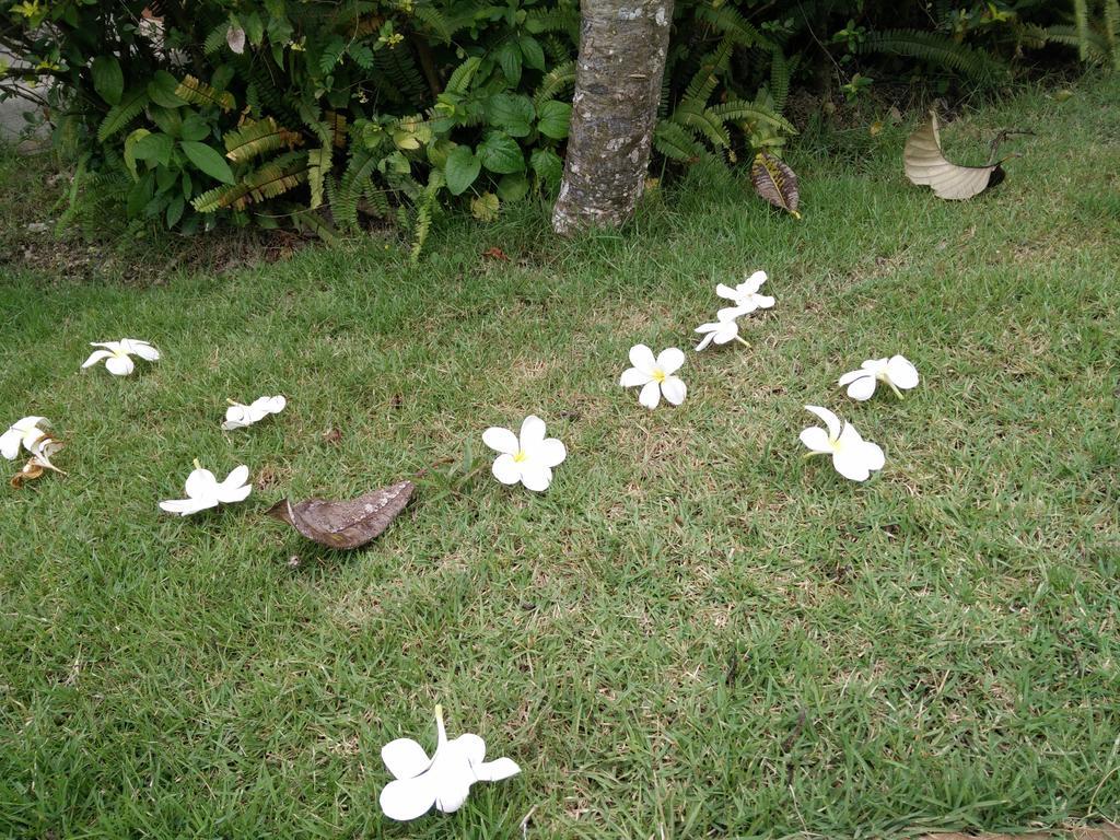 Nong Nam Daeng Lilawalai Resort מראה חיצוני תמונה
